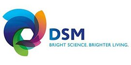 DSM